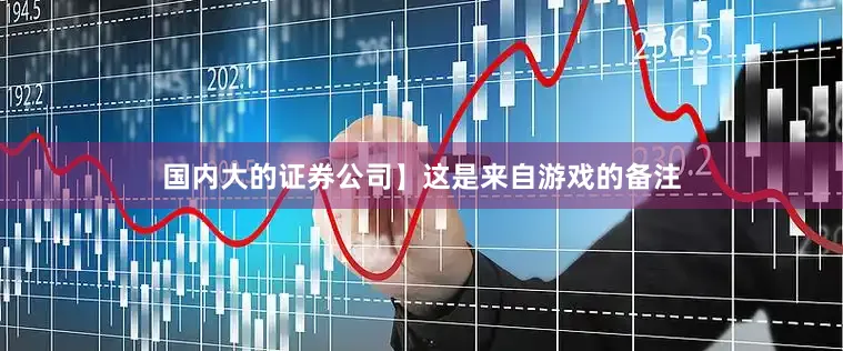 国内大的证券公司】这是来自游戏的备注