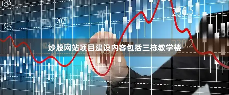 炒股网站项目建设内容包括三栋教学楼
