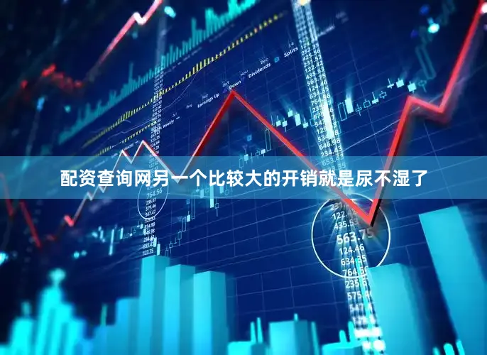 配资查询网另一个比较大的开销就是尿不湿了