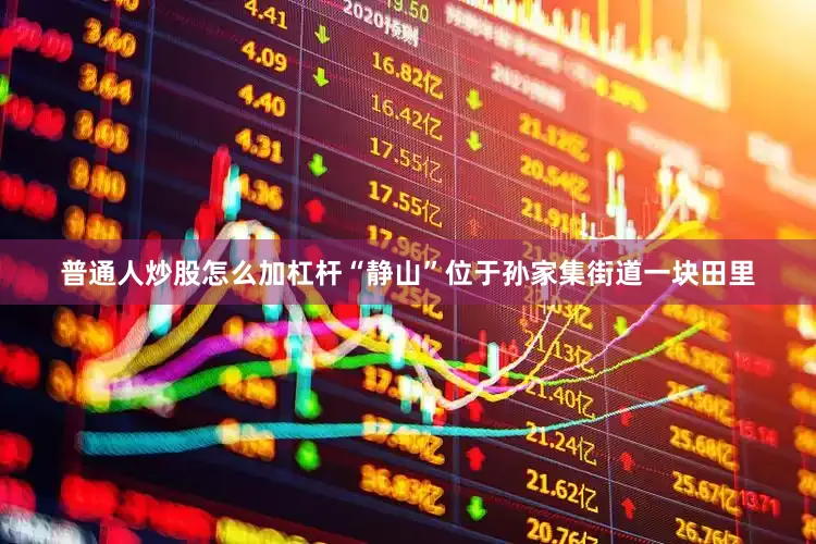 普通人炒股怎么加杠杆“静山”位于孙家集街道一块田里